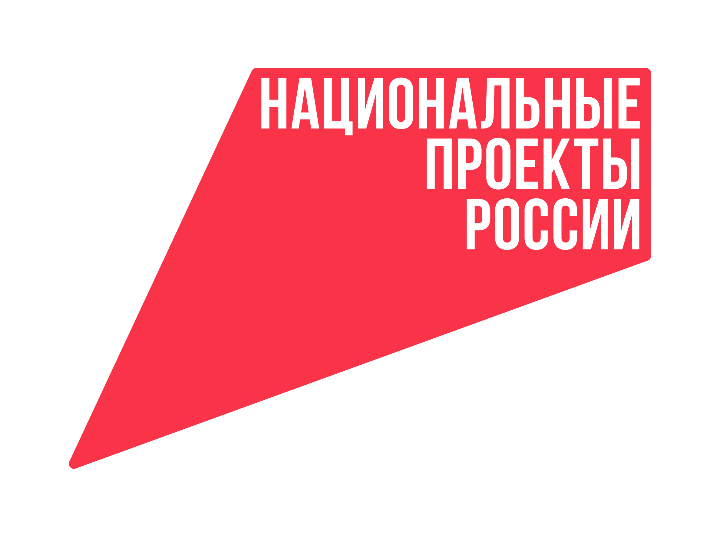 нп_лого.png